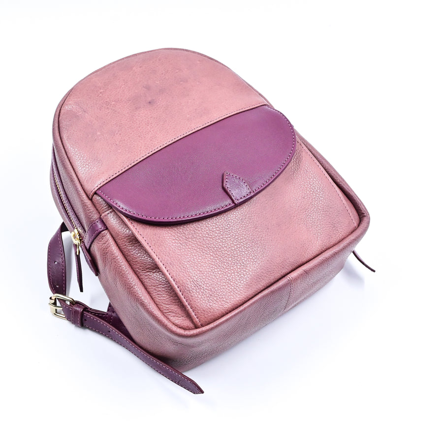 Weeny Carry Backpack (Pink/Cherry)
